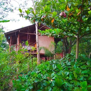 akash-treehouse.kandyhotelsnow.com/